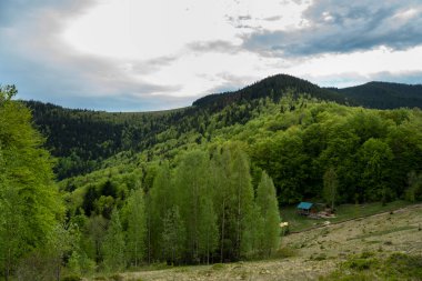 Güzel Karpat Dağları manzarasının manzarası