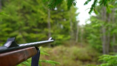 Ukrayna 'daki Karpat Ormanı' nda orta yaşlı erkek avcının görüntüleri 