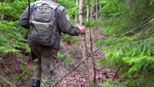 Metraje Cazador Masculino Mediana Edad Bosque Los Cárpatos Ucrania — Vídeo de stock