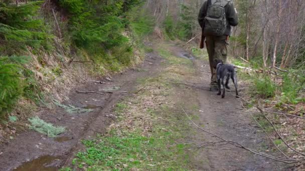 Orta Yaşlı Erkek Avcının Karpat Ormanı Ukrayna Köpeğiyle Çekilmiş Görüntüleri — Stok video