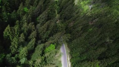 İnsansız hava aracından güzel yeşil Karpat Dağları manzarası