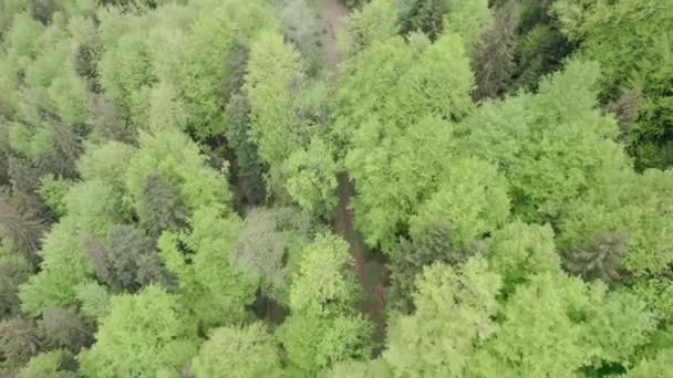 vue de dessus de belles montagnes vertes des Carpates à partir de drone