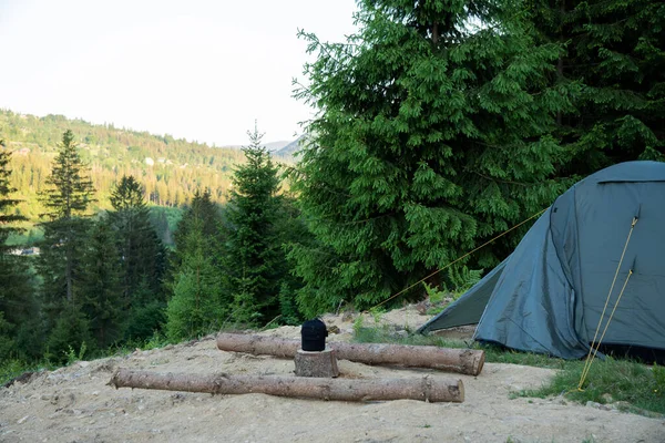 森のキャンプテントとログの風光明媚なショット — ストック写真