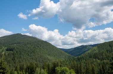 Güzel Karpat Dağları manzarasının manzarası