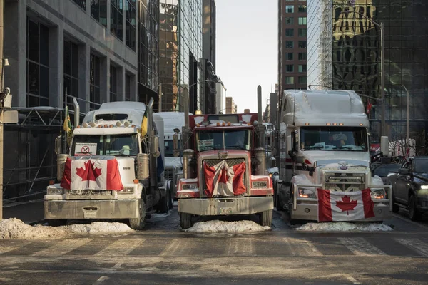 Kamyoncular Ottawa, Kanada 'da protesto etti