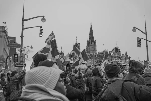 卡车司机自由集会在加拿大渥太华举行 — 图库照片
