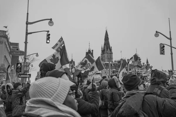 卡车司机自由集会在加拿大渥太华举行 — 图库照片