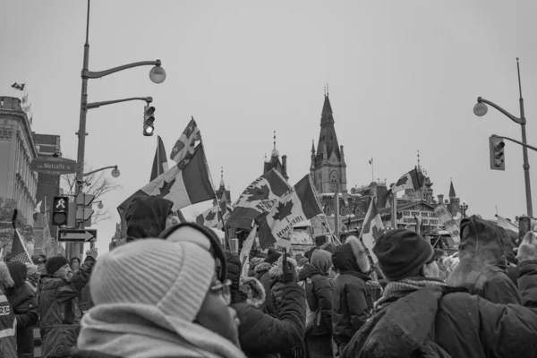 Συνάθροιση Ελευθερίας Φορτηγατζήδων Στην Οττάβα Καναδάς — Φωτογραφία Αρχείου