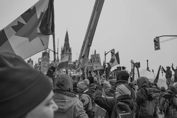 卡车司机自由抗议在加拿大渥太华 — 图库照片
