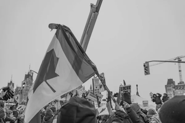 卡车司机自由抗议在加拿大渥太华 — 图库照片