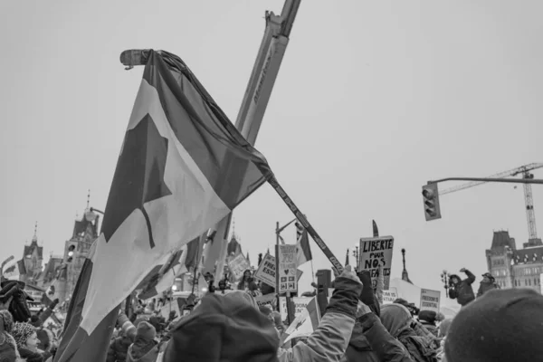Caminhoneiros Liberdade Protesto Ottawa Canadá — Fotografia de Stock