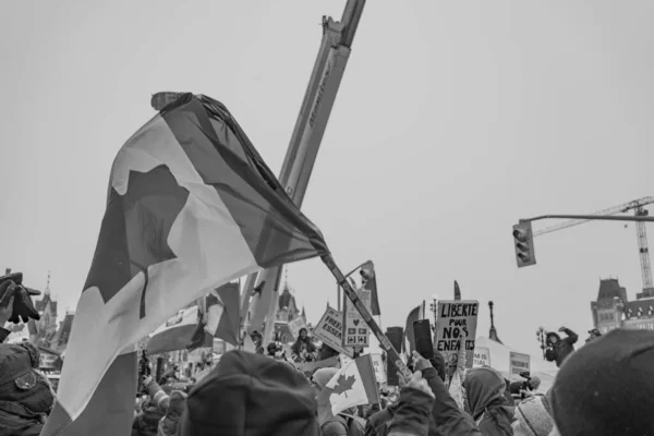 Manifestation Pour Liberté Des Camionneurs Ottawa Canada — Photo