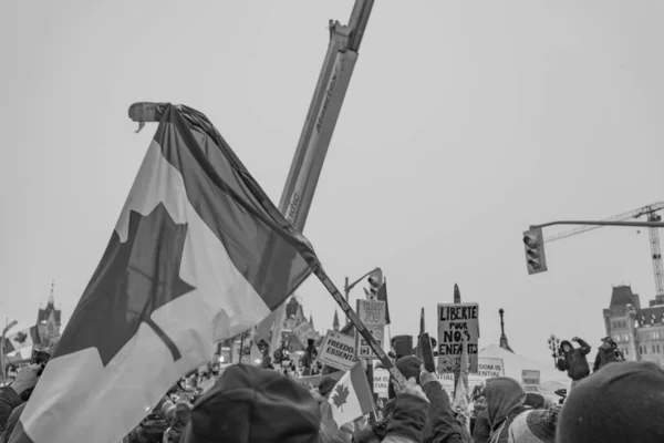 Caminhoneiros Liberdade Protesto Ottawa Canadá — Fotografia de Stock