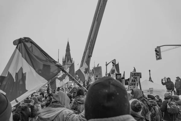 Протест Свободу Водителей Грузовиков Оттаве — стоковое фото