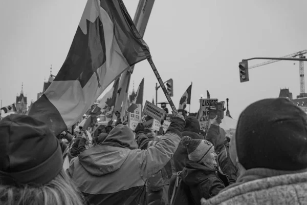 Ottawa Kanada Kamyoncular Özgürlük Protestosu — Stok fotoğraf