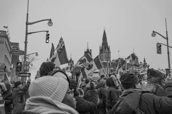 渥太华卡车司机自由集会 — 图库照片