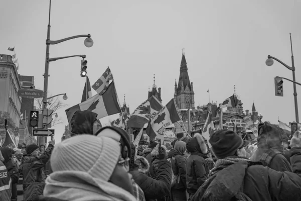 Ottawa Truckers Freedom Rally — Stock Photo, Image