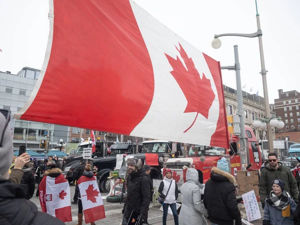 Ottawa Kanada Kamyoncular Özgürlük Yürüyüşü Telifsiz Stok Fotoğraflar