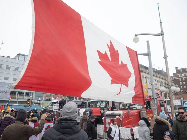Ottawa Kanada Kamyoncular Özgürlük Yürüyüşü - Stok İmaj