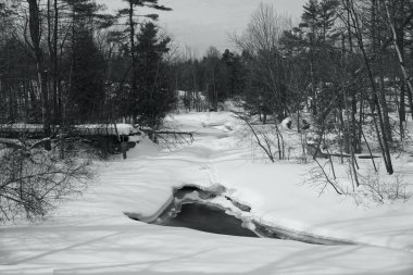 Karla kaplı ağaçlarla kaplı kış manzarası