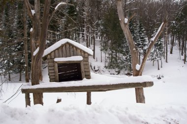 Güzel ahşap bir kulübe ve beyaz bir evle kaplı bir kar kütüğü..