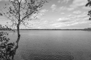 Ağaçlı ve bulutlu göl manzarası