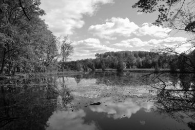 Güzel göl manzarası