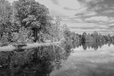 Ormandaki bir gölün yansıması. Gölün ortasında bir nehir var.