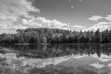 Arka planda gölün ve ormanın görkemli manzarası