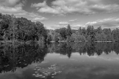 Gölü ve nehri olan güzel bir manzara