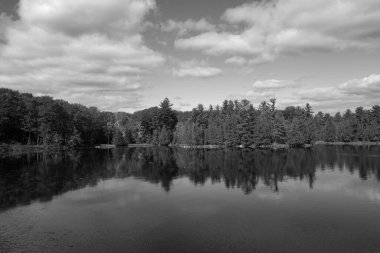 Göl, ağaçlar ve yansımaları olan güzel bir manzara.