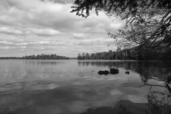 Prachtig Landschap Van Het Meer Met Bomen Reflectie — Stockfoto