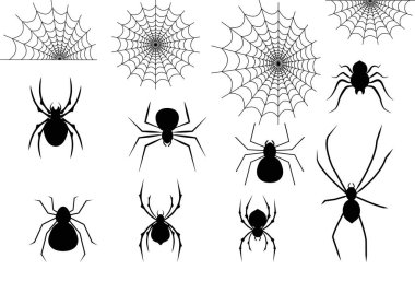 Siyah siluet örümcek ikonu seti izole edildi. ve beyaz arkaplanda örümcek ağı. Mutlu Cadılar Bayramı konsepti için web geçmişleri, tasarım unsurları, logolar, rozetler, etiketler.