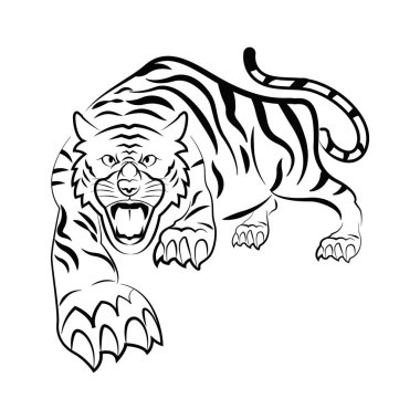 Siyah beyaz çizim. Kaplan el yapımı. Beyaz arka planda izole edilmiş, zarif bir şekilde dosyalanmış bir kaplan resmi. Kaplanın tasarım yılı için, Zodyak yılı için, Çin yeni yılı için.