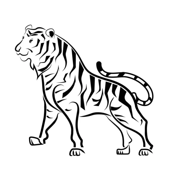 Czarno Białe Ilustracje Tygrys Ręcznie Rysowany Odizolowany Białym Tle Ilustracja — Wektor stockowy