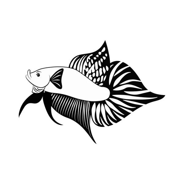 Betta Fish Siamese Fighter Thailand Black White Hand Drawn Design — Stock Vector