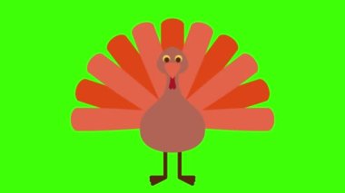 yeşil ekran, Parti simgesi, Türkiye 