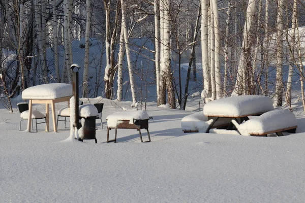 Winter Siberië Sneeuw Aan Bomen — Stockfoto