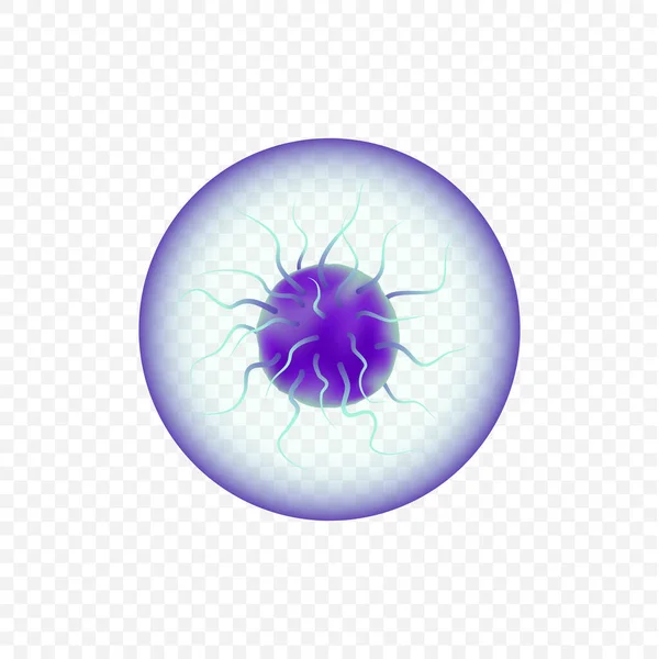 Célula microscópica del virus del cuerpo y bacterias icono. Microorganismo bacteriano, bacterias y microbio de la salud — Vector de stock
