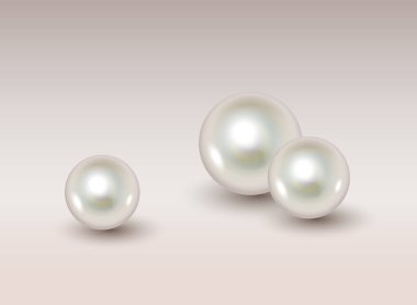 Natural pearls set of different size realistic. Round colored pearl from oyster shell clipart
