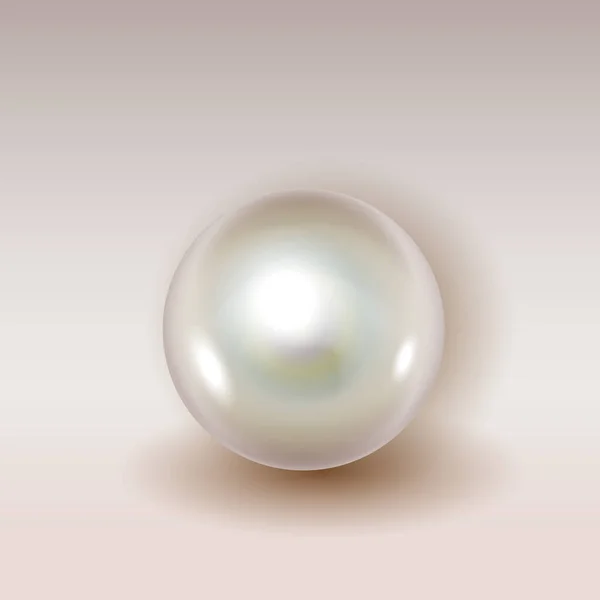 Realistic shiny natural white sea oyster pearl with light effects isolated on background with shadow — Stockový vektor