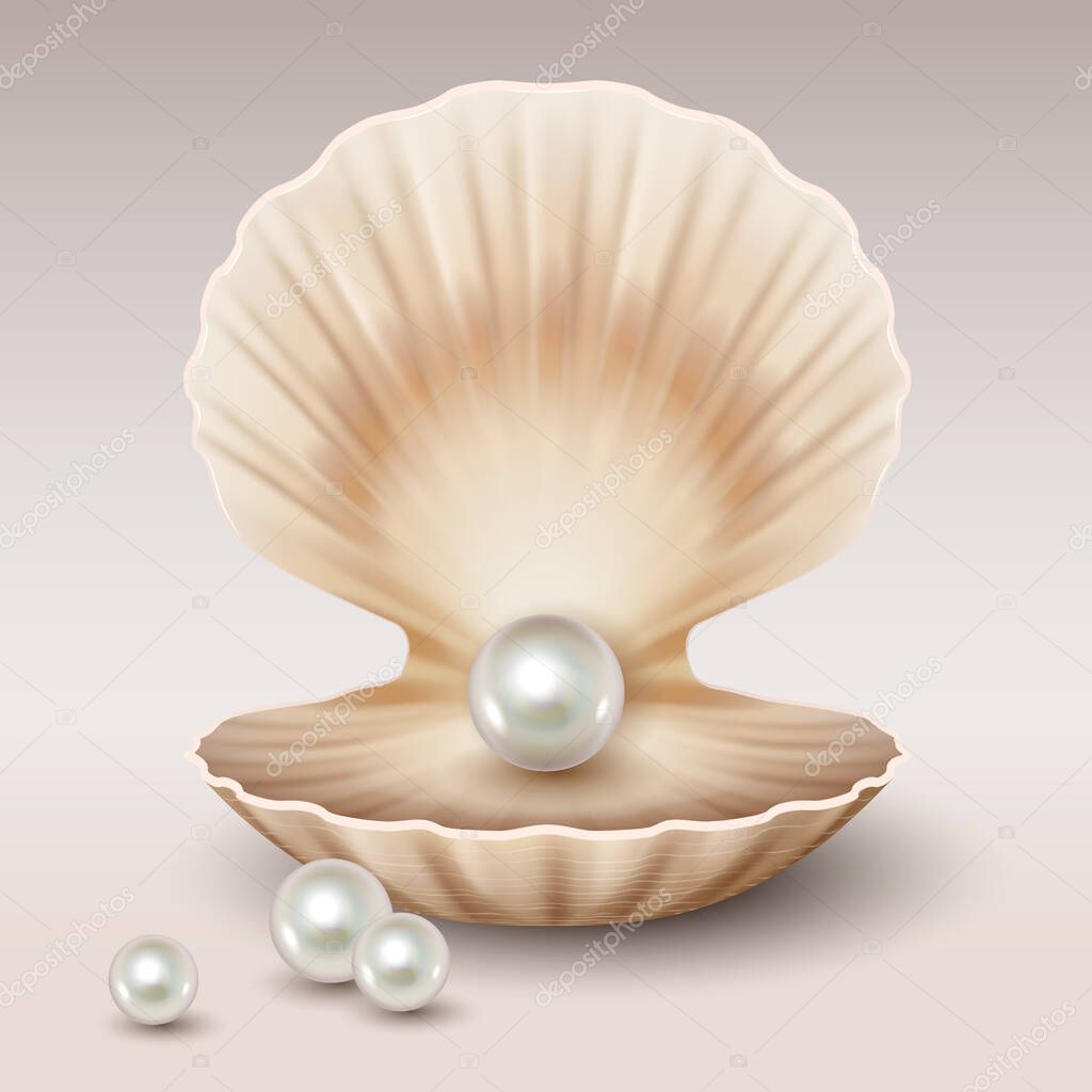 Realistic open shell with shining pearls inside. 3d freshwater or seashell oyster mollusk