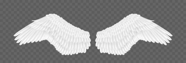 Par de hermosas alas de ángel blanco sobre fondo transparente. alas realistas 3d para animales o aves — Vector de stock