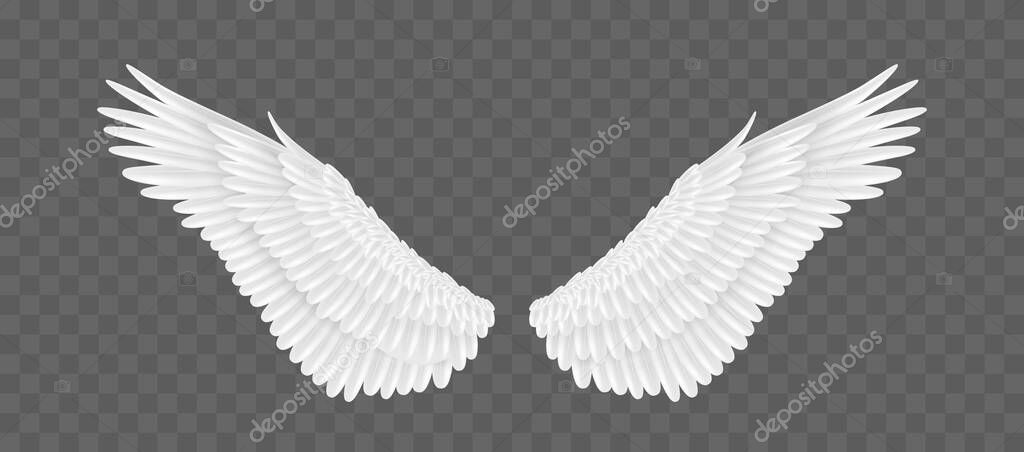 Pair of realistic angle wings isolated on transparent background. White feather fluffy wings of 3d bird or animal. Vector illustration