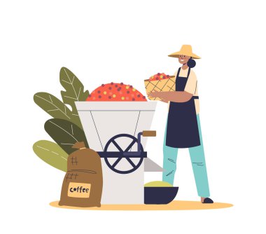 Çiftlik işçisi endüstriyel kızartma için kahve çekirdeğini öğütücüye koyuyor. Kahve tarımı endüstrisi