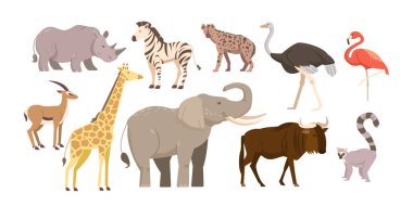 Bir grup Afrikalı hayvan ve kuş. Afrika savanasının faunası. Gergedan, fil, zürafa, flamingo, zebra, sırtlan, devekuşu beyaz arka planda izole edilmiş. Çizgi film vektör illüstrasyonu