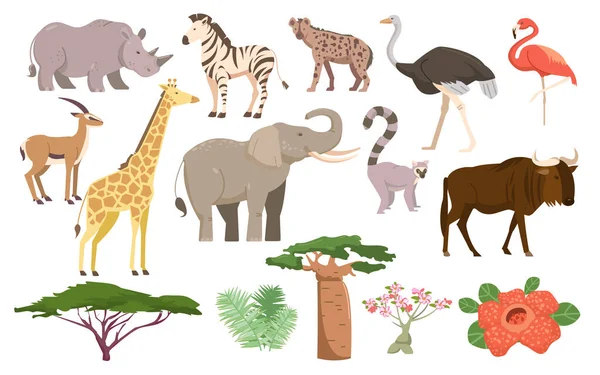 Αφρικανική Χλωρίδα Και Πανίδα Αφρικανικά Ζώα Φυτά Πουλιά Και Δέντρα — Διανυσματικό Αρχείο