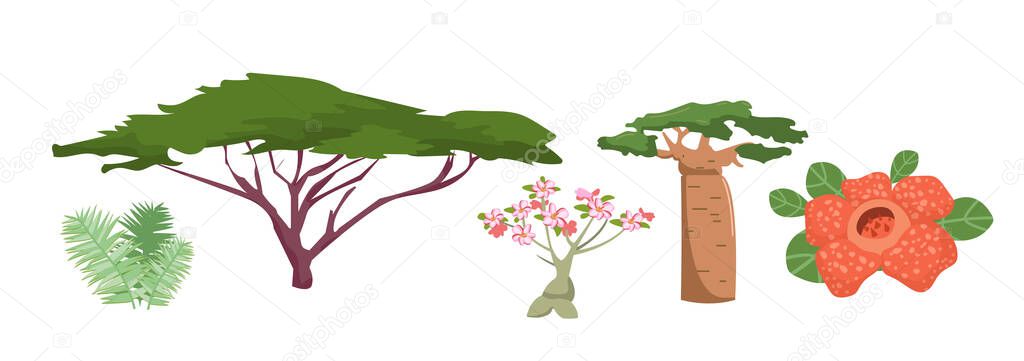 African plants and flora elements set. Exotic trees, baobab, acacia, flowers and bushes of africa continent. Dessert floral vegetation collection. Cartoon flat vector illustration