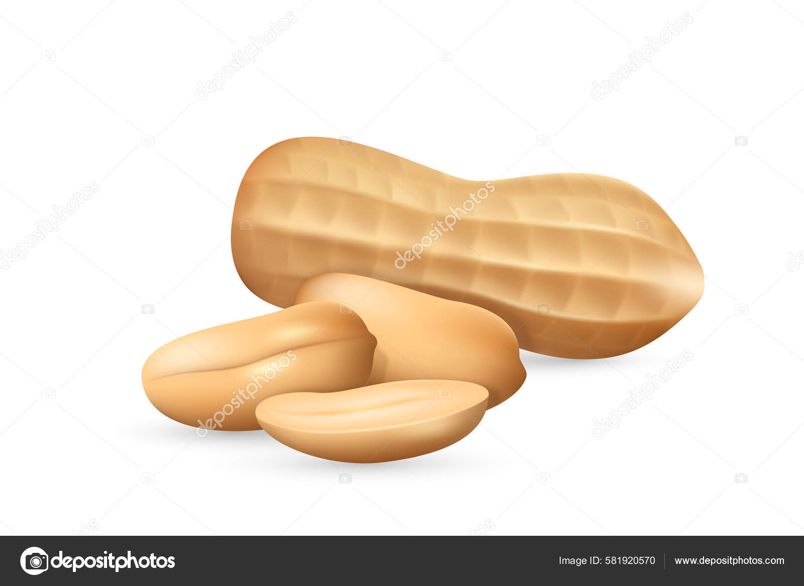 Peanut Shell Realistic Icon Groundnut Peeled Unpeeled Monkey Nut Goober