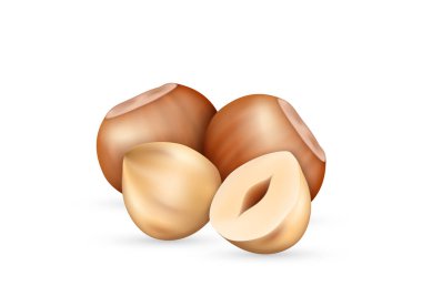 Kabuklu fındık çekirdeği ve tohum gerçekçi ikon. Beslenme, markalaşma ve beyaz arka planda izole edilmiş reklam için taze fındık. Vektör illüstrasyonu